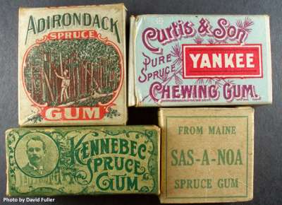 Spruce gum boxes