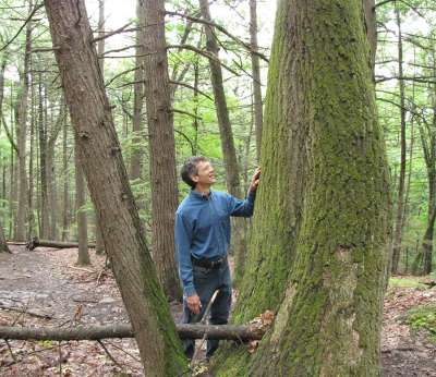 Michael Wojtech Studies the Trees