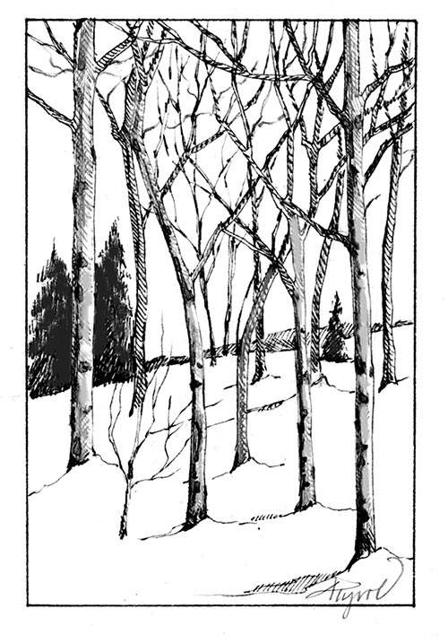 Tree Drawing Guide | Trees drawing tutorial, Tree drawing, Trees art drawing