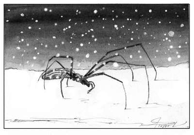 Snow Spider
