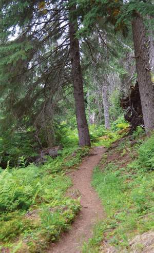 Exploring Alaska’s Chugach National Forest thumbnail