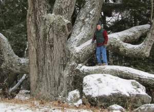 Big Trees of Northern New England with Kevin Martin thumbnail