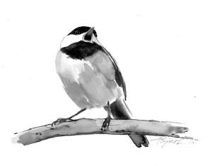 Chickadees: What They Say and Why They Say It thumbnail