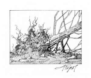 One for the Ages: The Hurricane of 1938 Battered New England’s Woods 75 Years Ago thumbnail