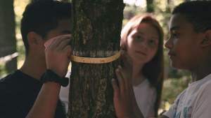 Part 4: Our Changing Forest Program thumbnail