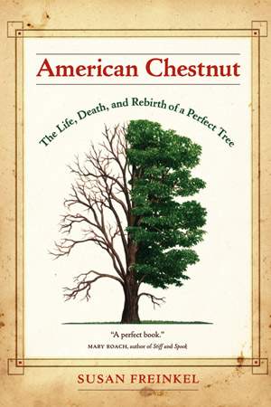 American Chestnut: The Life, Death, and Rebirth of a Perfect Tree thumbnail