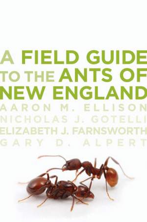 A Field Guide to the Ants of New England thumbnail
