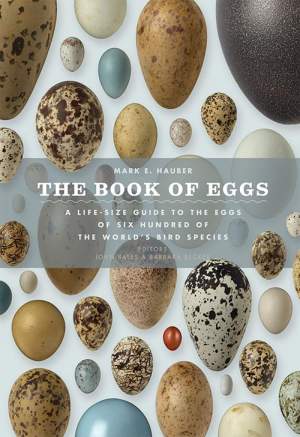 The Book of Eggs thumbnail