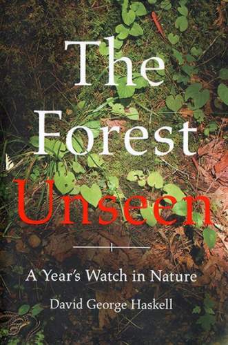 The-Forest-Unseen-Cover.jpg