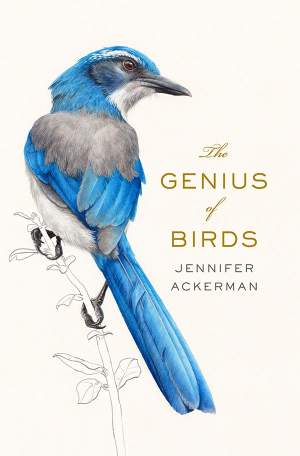 The Genius of Birds thumbnail