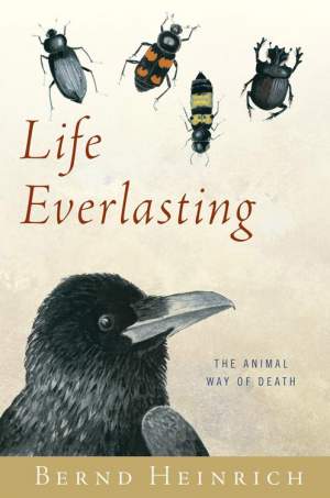 Life Everlasting: The Animal Way of Death thumbnail