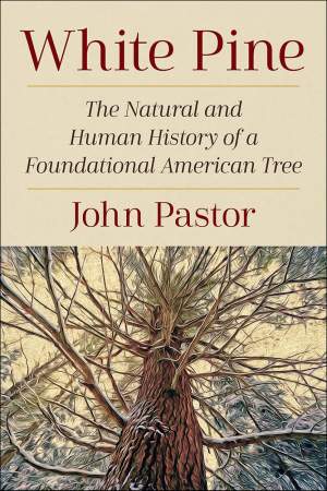 White Pine: The Natural and Human History of a Foundational American Tree thumbnail