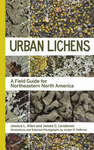 Urban Lichens: A Field Guide for Northeastern North America thumbnail