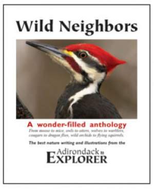 Wild Neighbors: A Window on Adirondack Wildlife thumbnail
