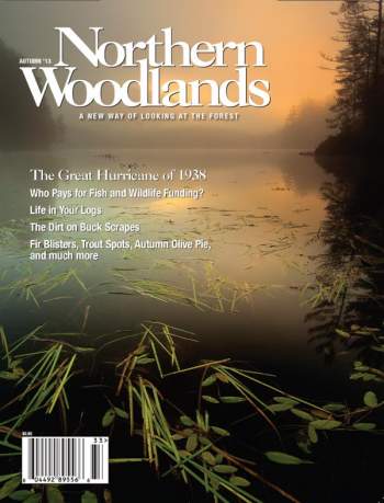 Cover of Autumn 2013