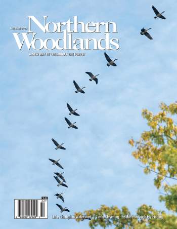 Photo by Caleb Kenna Autumn 2022 issue cover cover  by Northern Woodlands