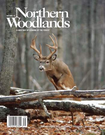 NW AUT19 Cover by Northern Woodlands