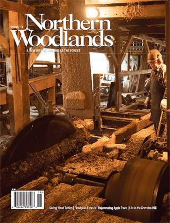 Cover of Spring 2018