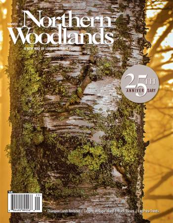 Photo by Brenda Petrella NW Summer 2019 cover  by Northern Woodlands