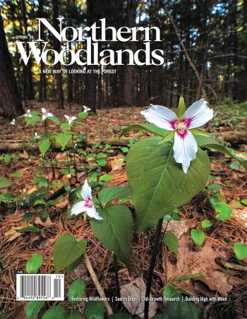 Photo by Stephen Gingold NW Spring 2020 Edition cover  by Stephen Gingold