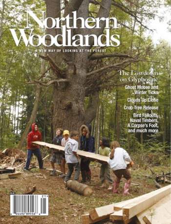 Cover of Spring 2012