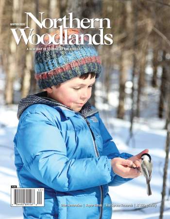 Photo by Anne Small NW Winter Issue cover  by Northern Woodlands