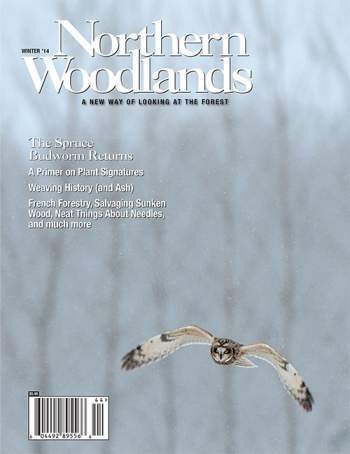 Cover of Winter 2014