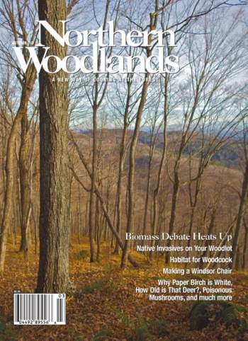 Cover of Autumn 2010