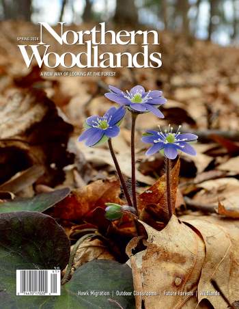 Photo by Mike Adamovich Spring 2024 cover  by Northern Woodlands