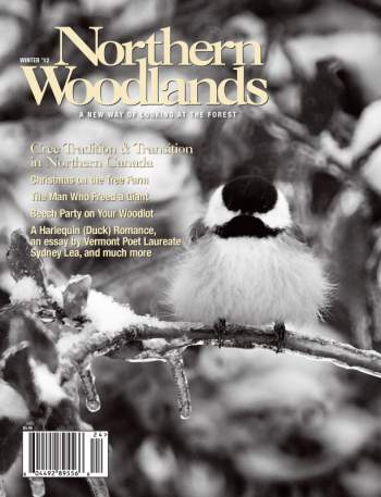 Cover of Winter 2012
