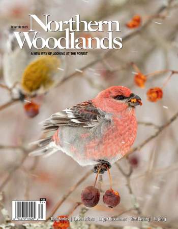Photo by Roger Irwin Winter 2023 magazine cover  by Northern Woodlands