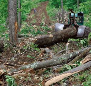Cable skidder, Ed Legacy and son logging, Shaftsbury, VT 