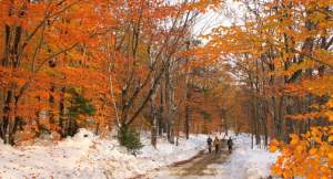 Hikers descend New Hampshire's Mount Monadnock through the unusual late foliage and heavy snow from the October 2011 blizzard. 