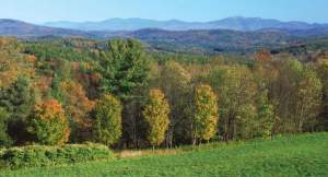 Overlook near Saint Johnsbury, Vermont, showing abnormally drab foliage on Columbus Day weekend.  