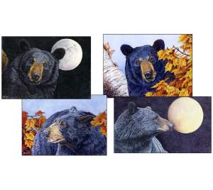 Black Bear Art Prints thumbnail