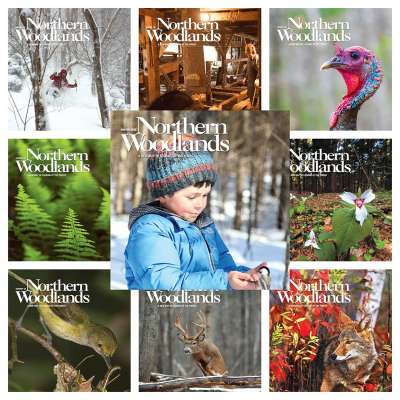 Northern Woodlands magazine