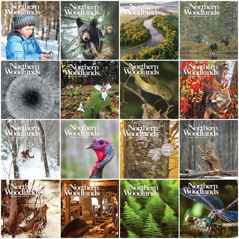 Back Issue Library - set of 24 Back Issues Shop Back Issues
