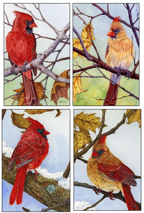 Cardinals