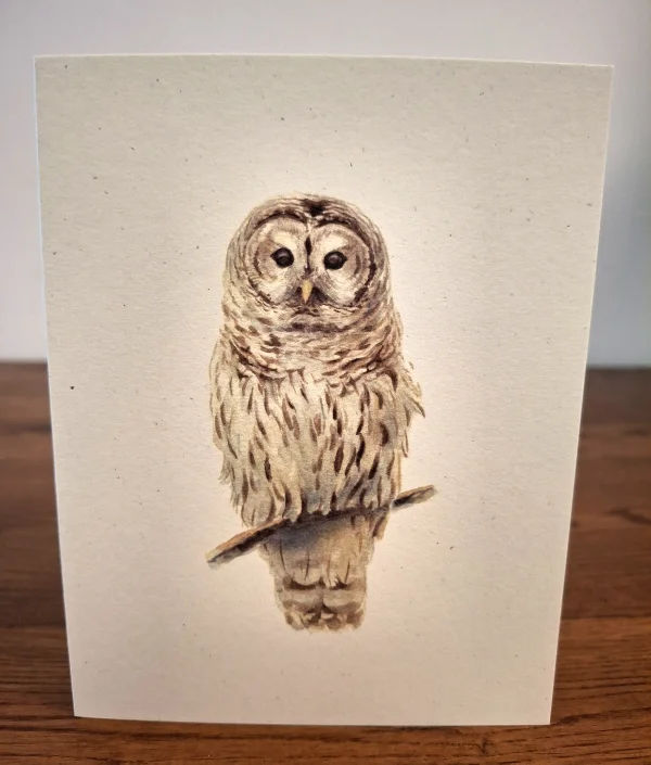 NC-BO-owl.jpg