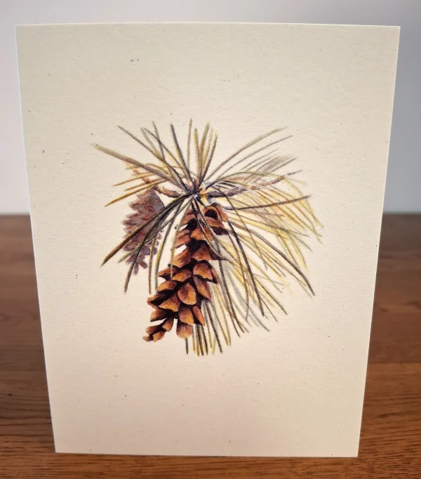 NC-EWP-white-pine.jpg
