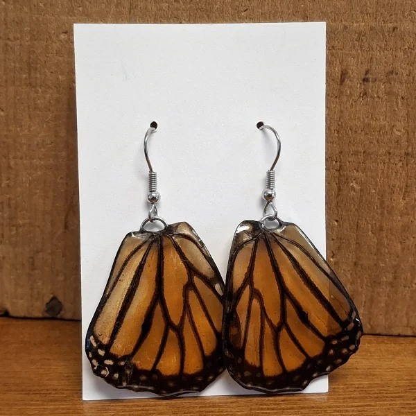 WE-MONARCH-ripples.jpg