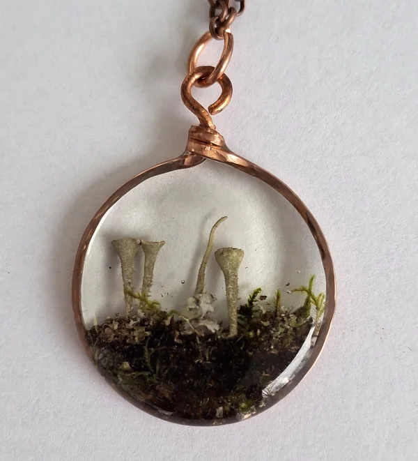 WP-01-lichen-moss-ripples.jpg