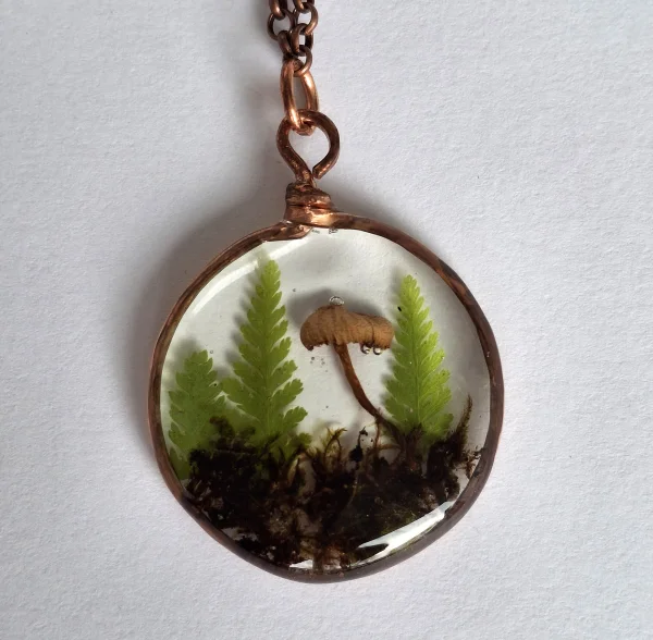 WP-03-fern-mushrooms-moss-ripples.jpg