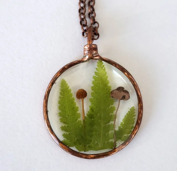 WP-11-fern-mushrooms-ripples.jpg