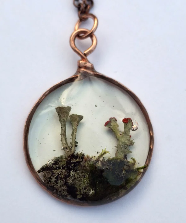 Lichens