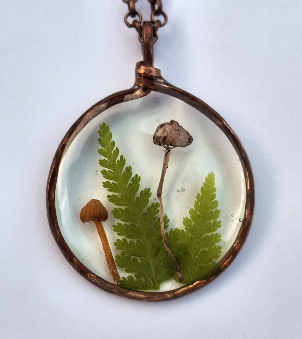 Mushrooms and ferns