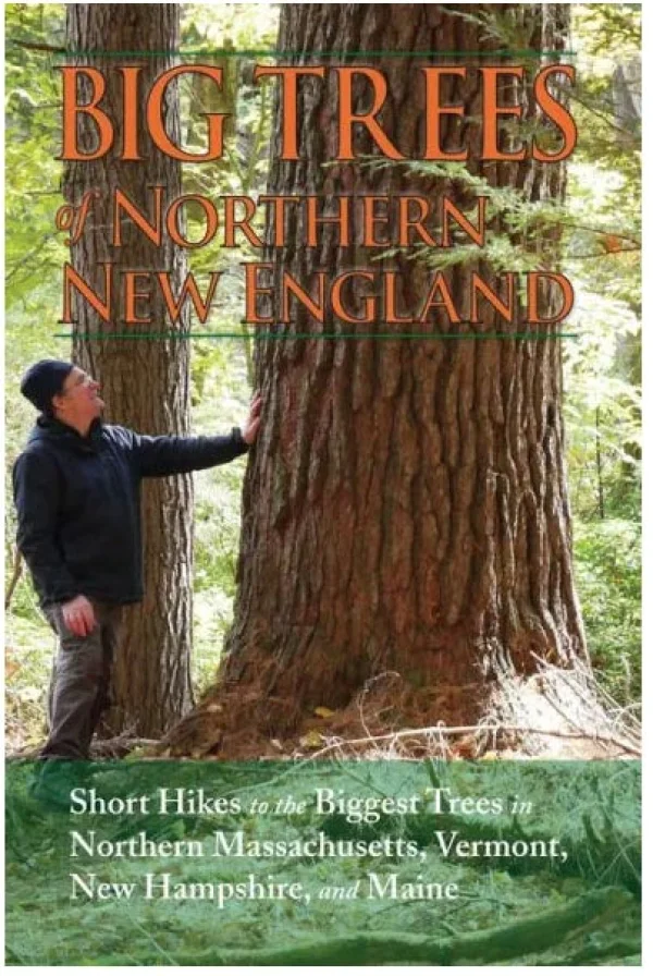 Big Trees