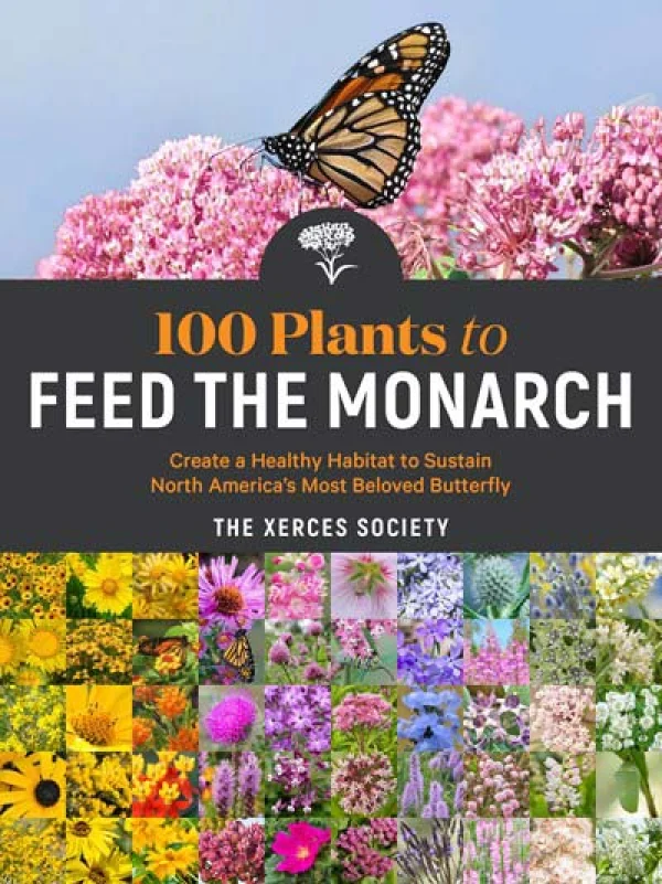 Feed the Monarchs