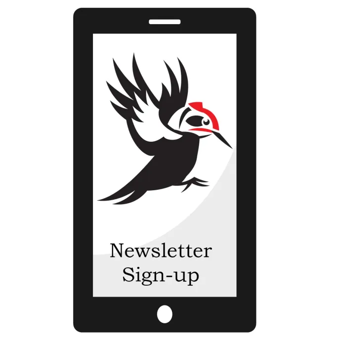 Newsletter signup