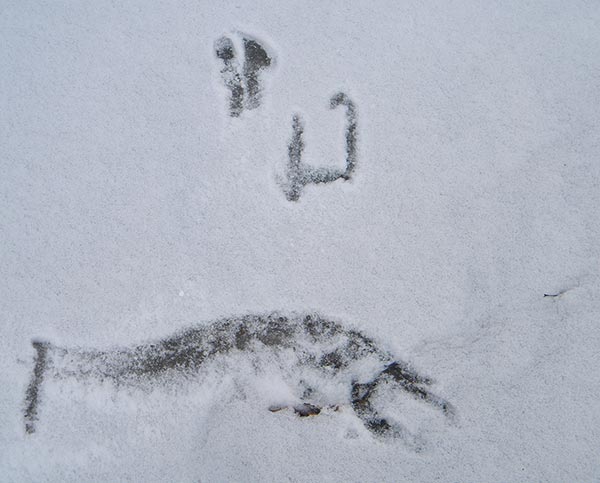 Signature in Snow